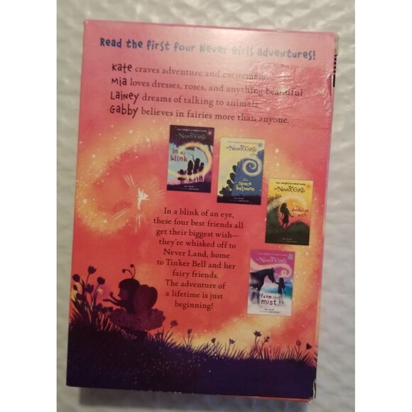 Disney The Never Girls Book Set Collection #1 Fairy's World Paperbacks In Sleeve - Picture 3 of 5